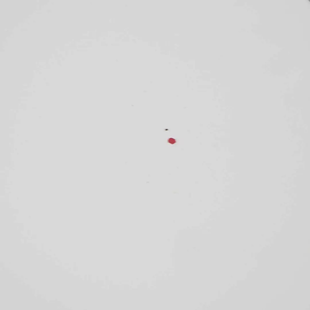 Trunk Boot Lid Tailgate Panel Alpinweiss Alpine White 3 - 300 to BMW F10 with Part number 7240552 BMW F10 Trunk Boot Lid Tailgate Panel Alpinweiss Alpine White 3 - 300 - SKU 7240552-AW1 - Part number 7240552