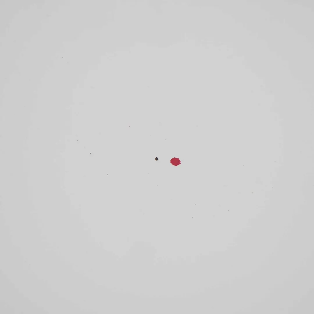 Klapa Bagażnika Alpinweiss - 300 do BMW F10 o numerze 7240552 BMW F10 Klapa Bagażnika Alpinweiss - 300 - SKU 7240552-AW1 - Numer Części 7240552