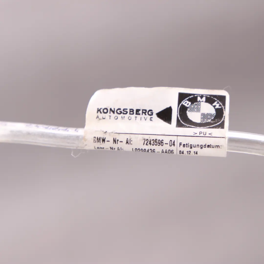  Cuscinetto Lordosis BMW F20 F30 Sedile destro larghezza lombare - SKU 7243596-1 - Numero di parte 7243596