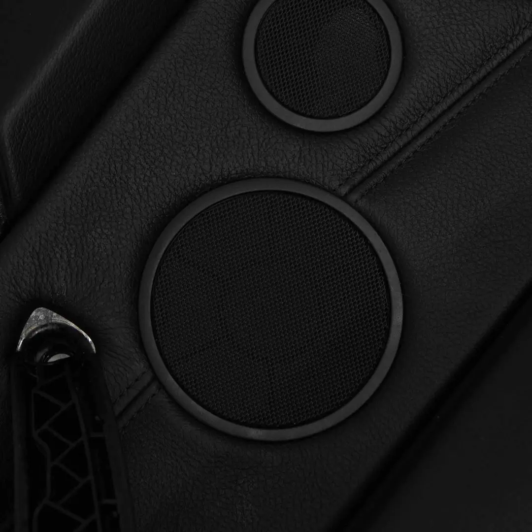 Türverkleidung Abdeckung Hinten Links Schwarz Leder BMW X5 E70 - SKU 7244525 - Teilenummer 7244525