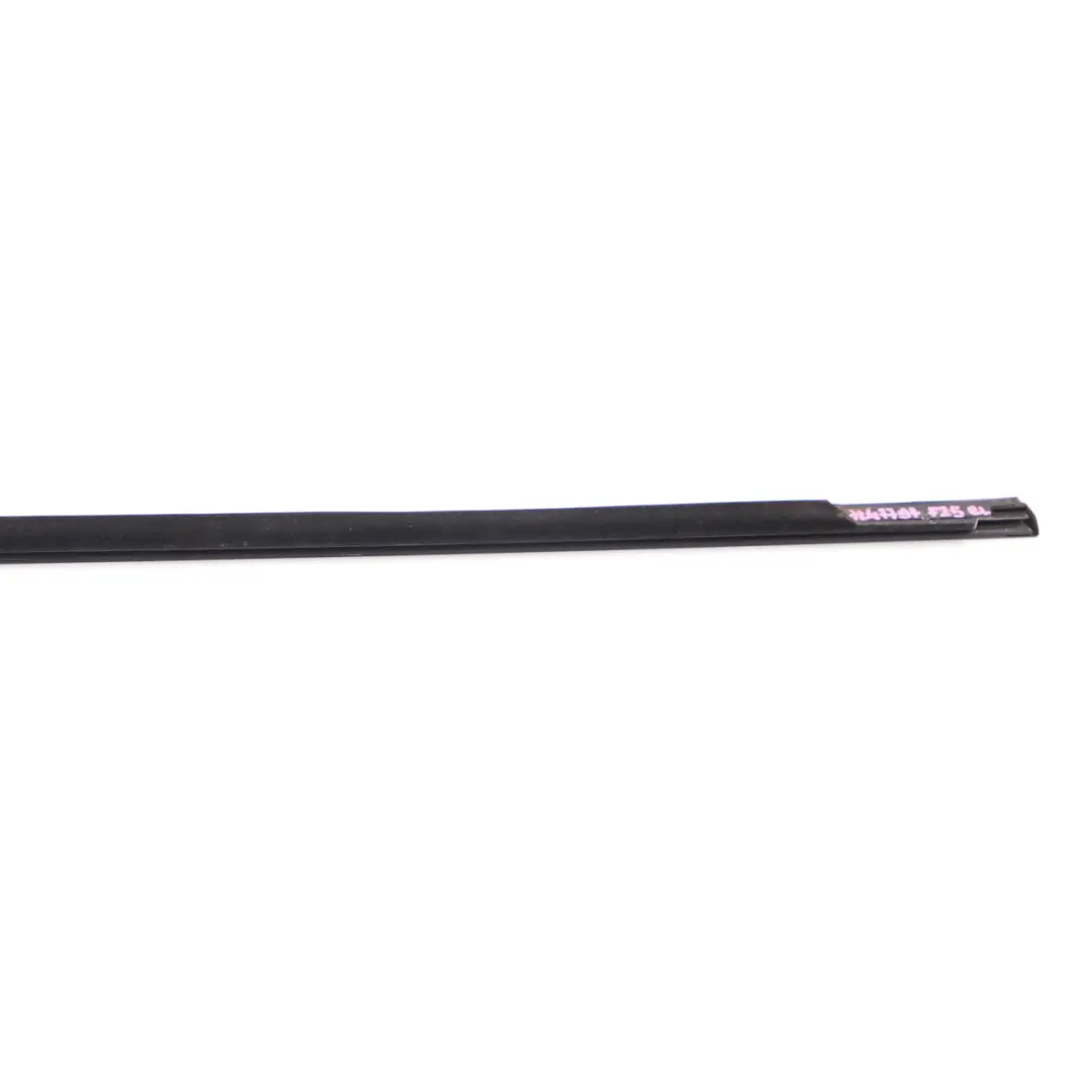 BMW X3 F25 Door Weatherstrip Outer Rear Left Window Strip High Gloss - SKU 7247797 - Part number 7247797