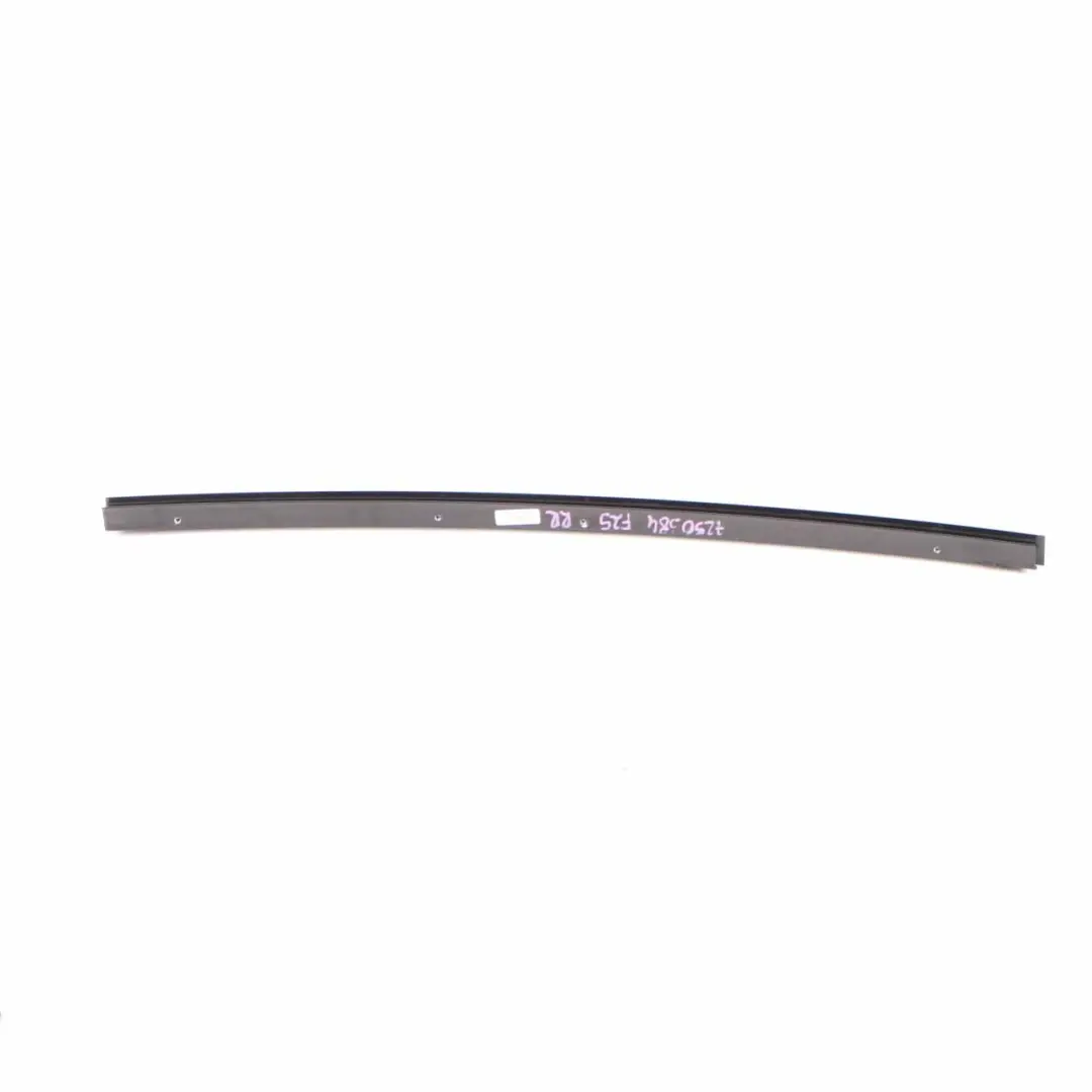 BMW X3 F25 Window Guide Web Cover Rear Door Right Strip High Gloss - SKU 7250384 - Part number 7250384
