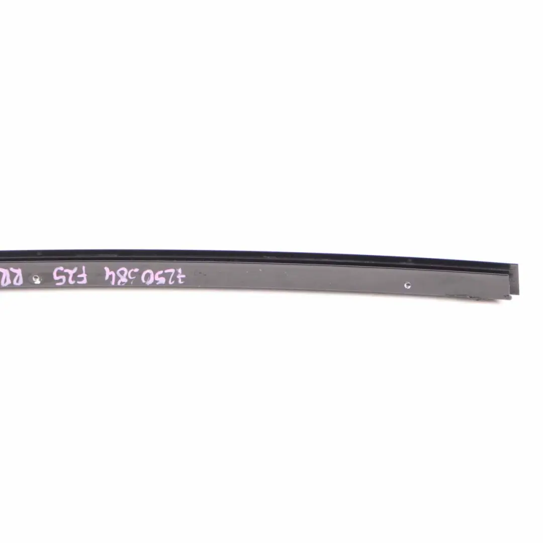 BMW X3 F25 Window Guide Web Cover Rear Door Right Strip High Gloss - SKU 7250384 - Part number 7250384