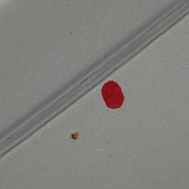 Boot Lid Kaschmirsilber Silver A72 to BMW E88 Cabrio Convertible Tailgate with Part number 7252211 BMW E88 Cabrio Convertible Tailgate Boot Lid Kaschmirsilber Silver A72 - SKU 7252211-KAS - Part number 7252211