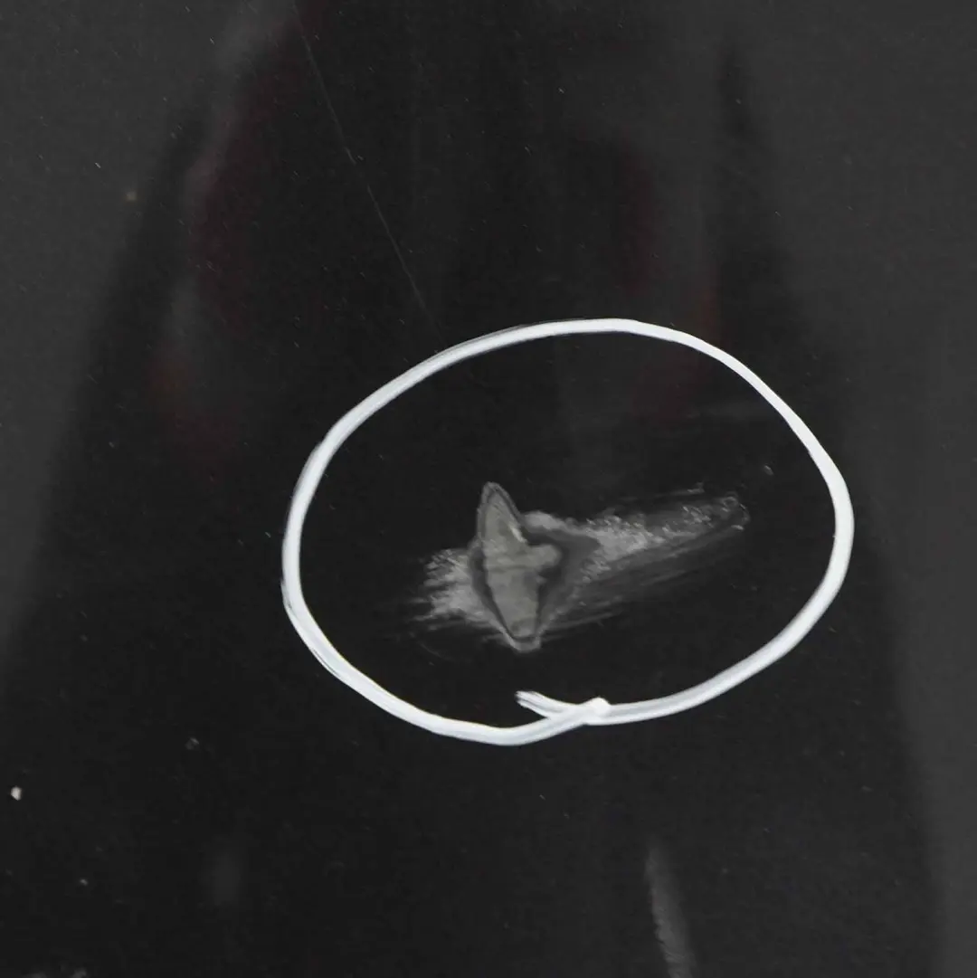 Bumper Panel PDC Covering Sophistograu Grey Metallic - A90 to BMW F11 Touring Rear with Part number 7254917 BMW F11 Touring Rear Bumper Panel PDC Covering Sophistograu Grey Metallic - A90 - SKU 7254917-SOP - Part number 7254917