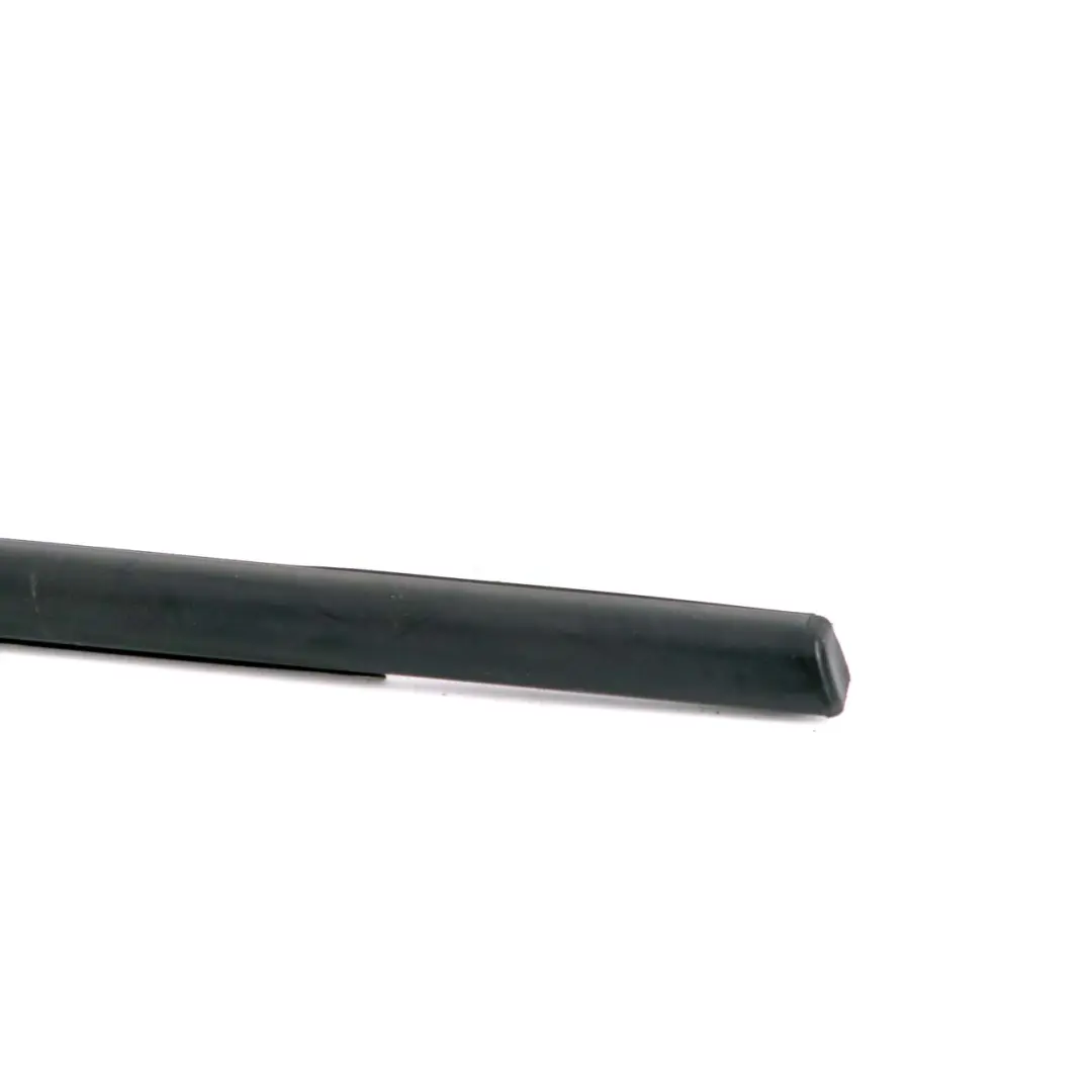 BMW 3 er F30 E80 M3 Schachtabdichtung Aussen Tür Hinten Rechts - SKU 7258294 - Teilenummer 7258294