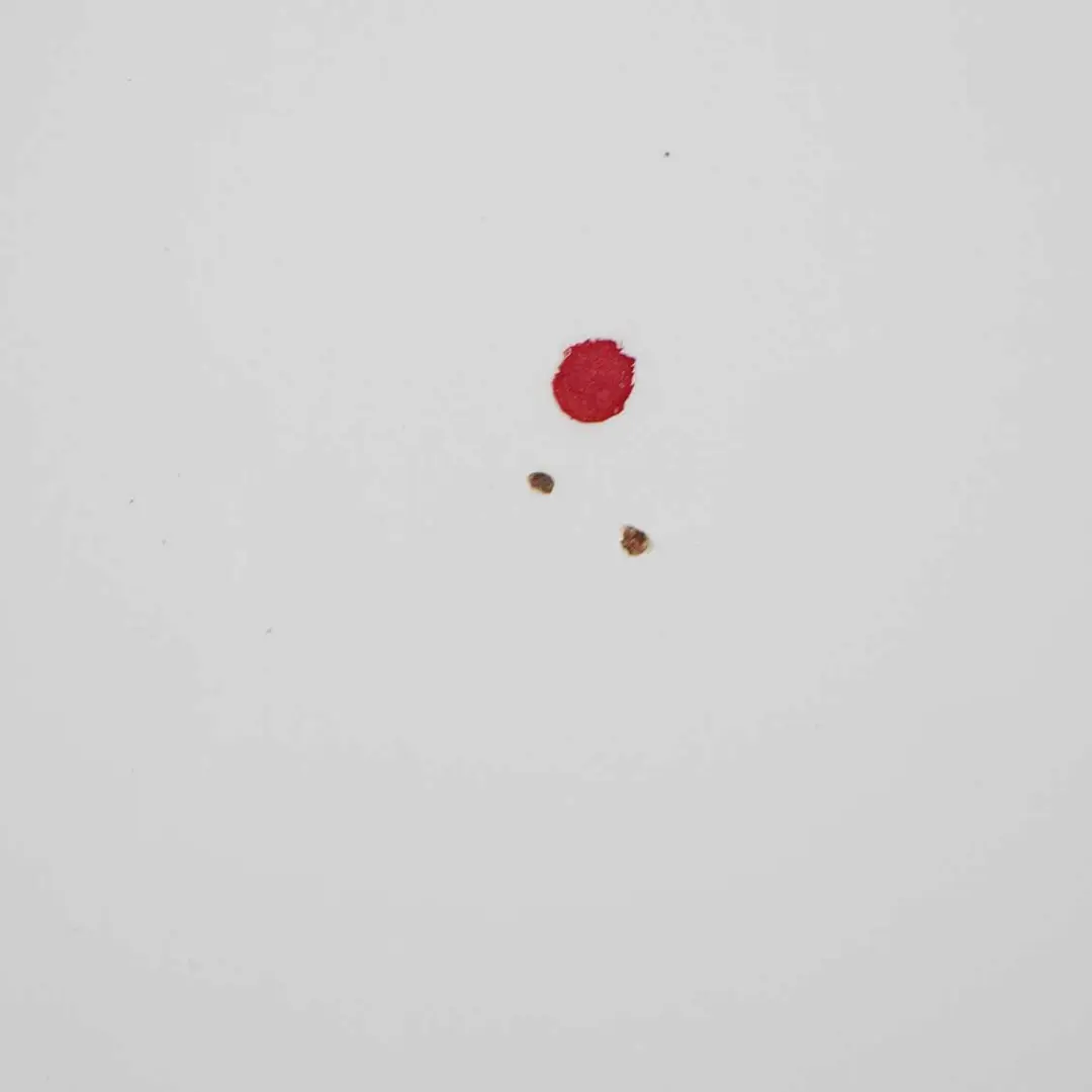 Arriere Gauche Alpinweiss 3 Blanc - 300 pour BMW X5 E70 Porte à propos du numéro de pièce 7261481 BMW X5 E70 Porte Arriere Gauche Alpinweiss 3 Blanc - 300 - SKU 7261481-AW - Numéro de pièce 7261481