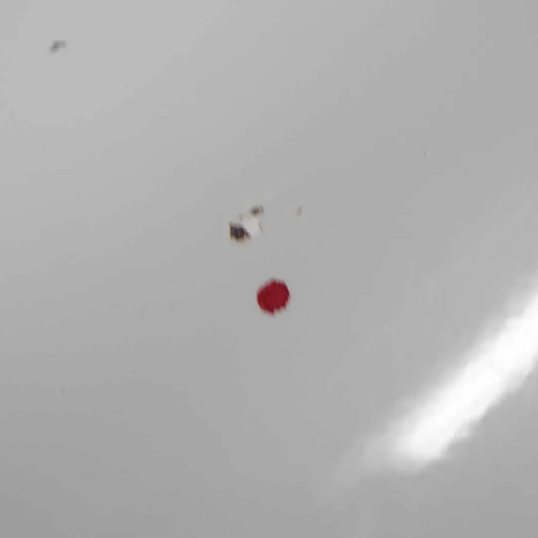 Porta Posteriore Sinistra Alpinweiss 3 - 300 per BMW X5 E70 con numero di parte 7261481 BMW X5 E70 Porta Posteriore Sinistra Alpinweiss 3 - 300 - SKU 7261481-AW - Numero di parte 7261481