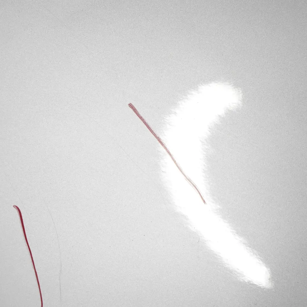 Tür hinten links Titansilber Metallic - 354 für BMW X5 E70 mit Teilenummer 7261481 BMW X5 E70 Tür hinten links Titansilber Metallic - 354 - SKU 7261481-TS1 - Teilenummer 7261481