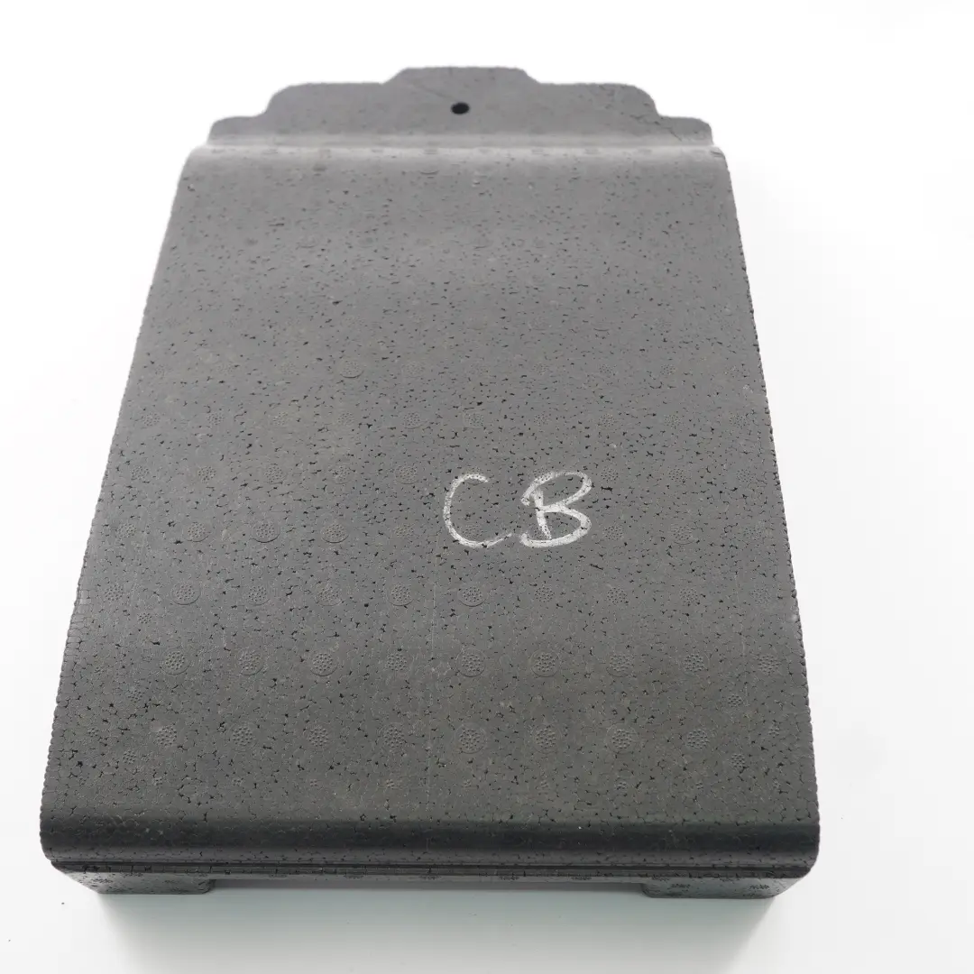 BMW X6 E71 Sedile Posteriore Pannello Rivestimento Schiuma Inserto - SKU 7262295 - Numero di parte 7262295