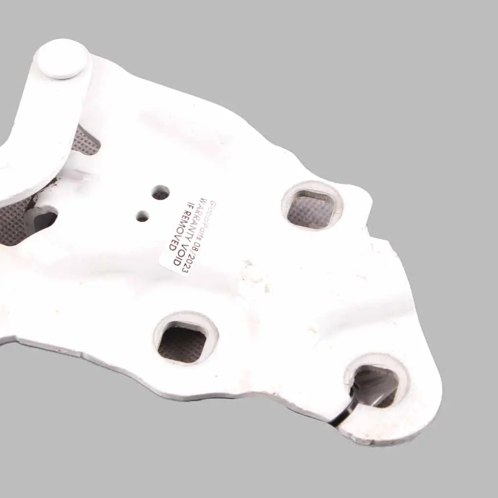  Hood Bonnet Hinge BMW X3 F25 X4 F26 Left Engine Alpine White - 300 - SKU 7262875-AW - Part number 7262875
