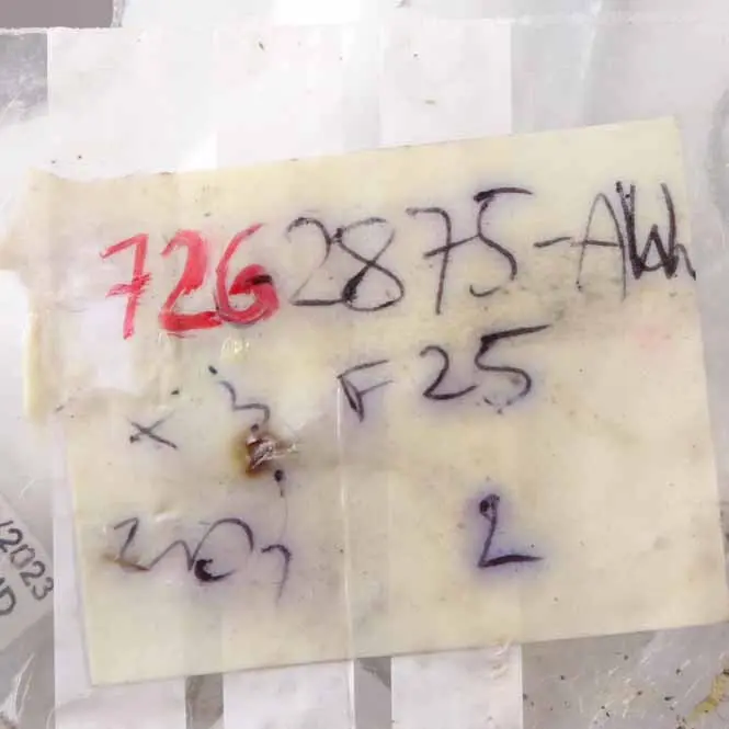 Cerniera cofano BMW X3 F25 X4 F26 motore sinistro bianco alpino - 300 per con numero di parte 7262875 Cerniera cofano BMW X3 F25 X4 F26 motore sinistro bianco alpino - 300 - SKU 7262875-AW - Numero di parte 7262875