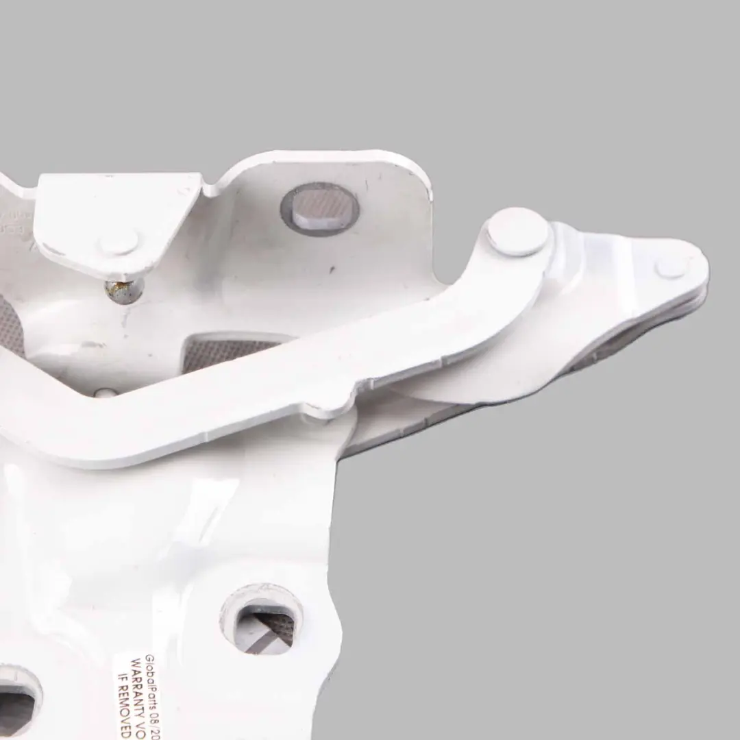 Cerniera cofano BMW X3 F25 X4 F26 Motore Destro Bianco Alpino - 300 per con numero di parte 7262876 Cerniera cofano BMW X3 F25 X4 F26 Motore Destro Bianco Alpino - 300 - SKU 7262876-AW - Numero di parte 7262876