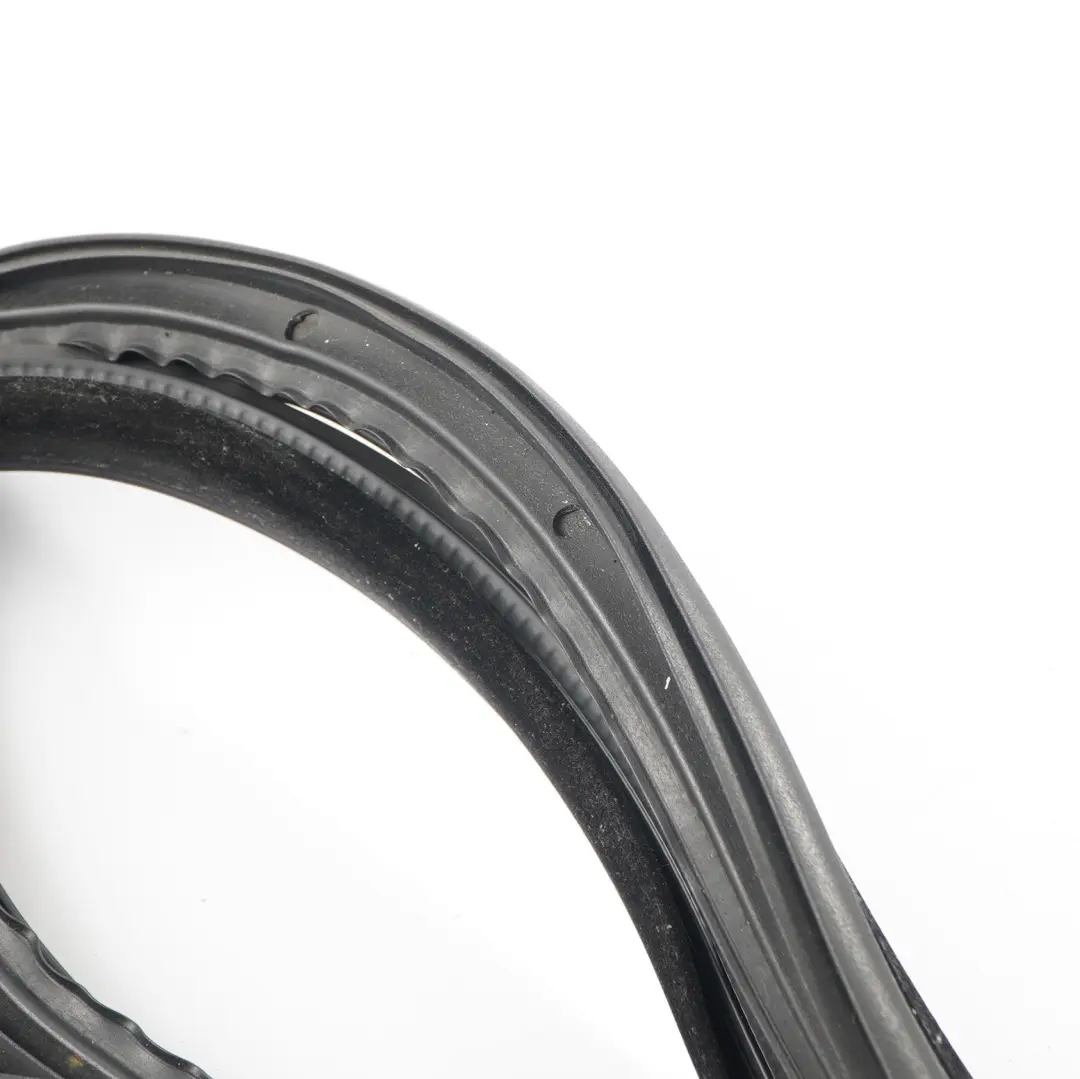 BMW F13 Door Seal Weatherstrip Front Left - SKU 7268799 - Part number 7268799