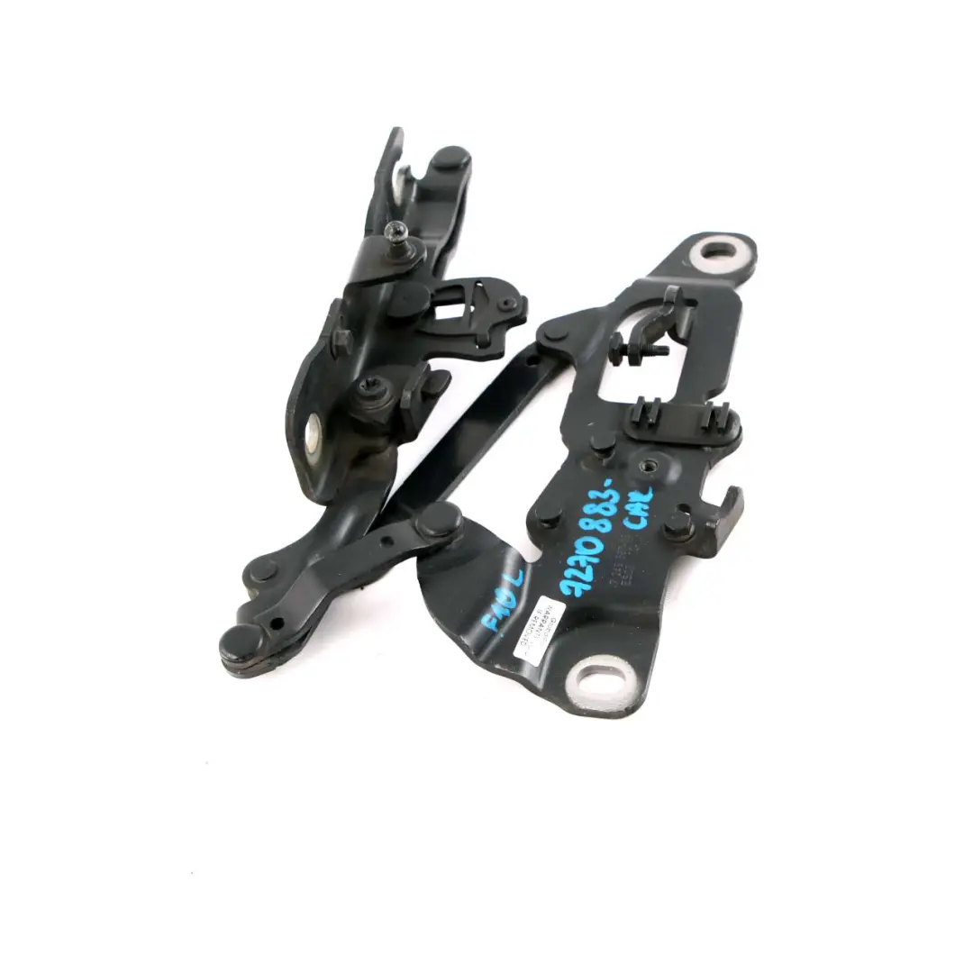 BMW F10 F11 Cerniera Cofano Motore Sinistra Nero Carbonio - SKU 7270883-CAR - Numero di parte 7249887