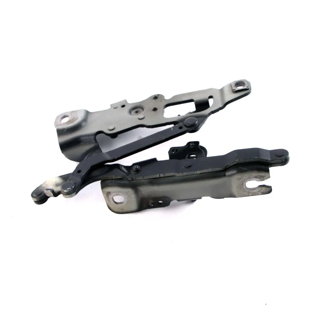 BMW F10 F11 Cerniera Cofano Motore Sinistra Nero Carbonio - SKU 7270883-CAR - Numero di parte 7249887