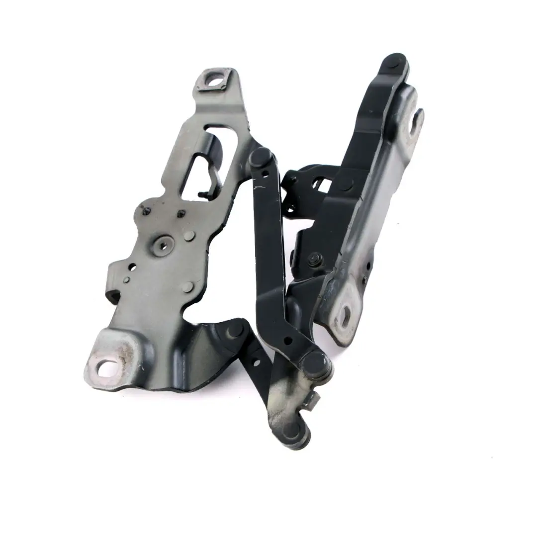 BMW F10 F11 Cerniera Cofano Motore Sinistra Nero Carbonio - SKU 7270883-CAR - Numero di parte 7249887