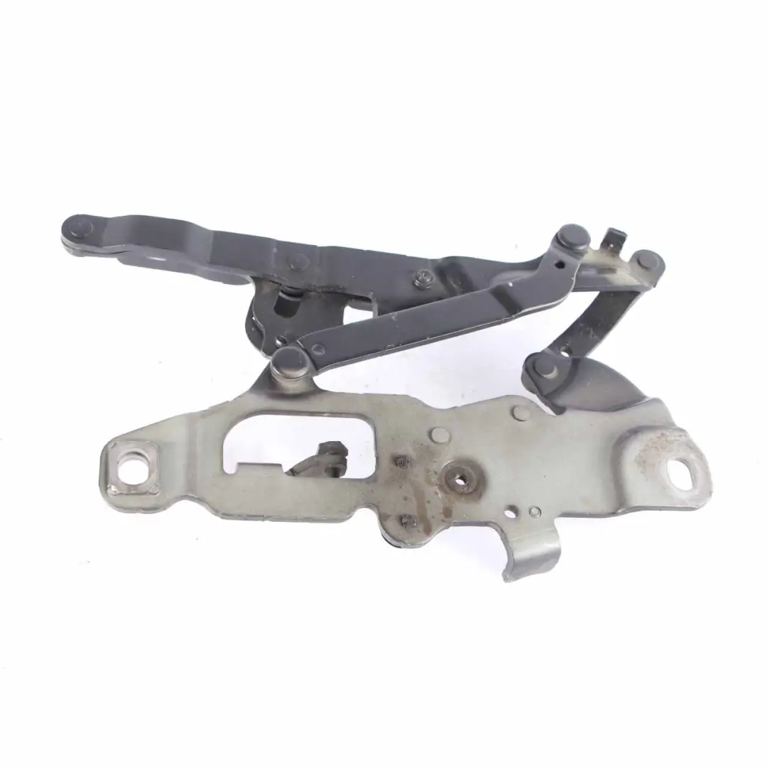 Cerniera Cofano Motore Sinistra Sophisto Grigio 7249887 per BMW F10 F11 con numero di parte 7270883 BMW F10 F11 Cerniera Cofano Motore Sinistra Sophisto Grigio 7249887 - SKU 7270883-SOP - Numero di parte 7270883