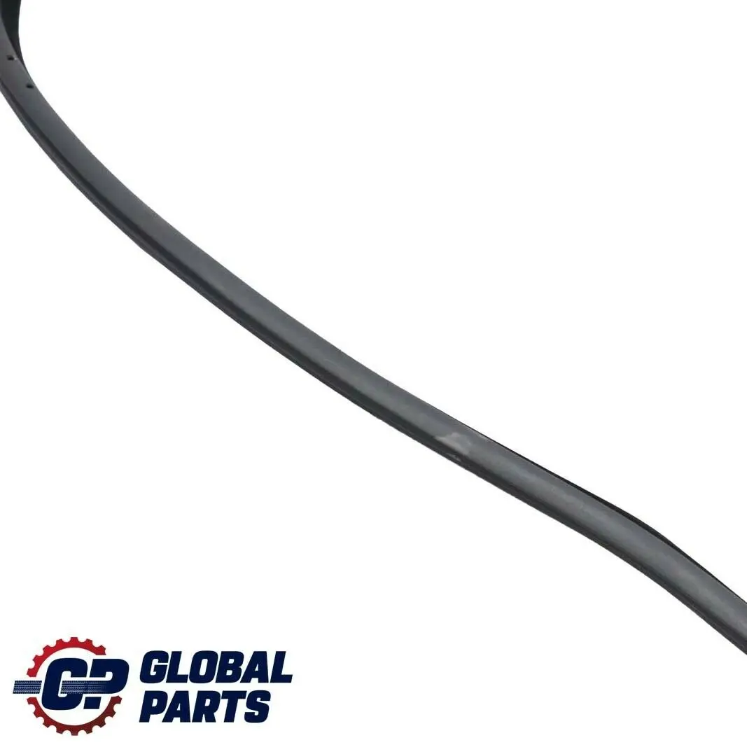 Front Left Door N/S Outer Weatherstrip to BMW 3 Series F32 F82 M4 with Part number 7279741 BMW 3 Series F32 F82 M4 Front Left Door N/S Outer Weatherstrip - SKU 7279741 - Part number 7279741