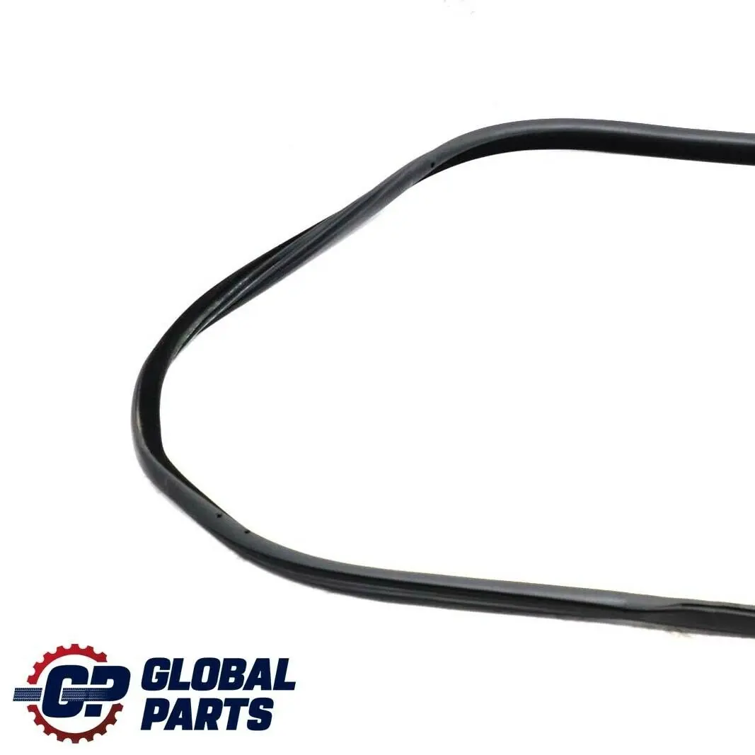 BMW 3 Series F32 F82 M4 Front Right Door O/S Outer Weatherstrip - SKU 7279742 - Part number 7279742
