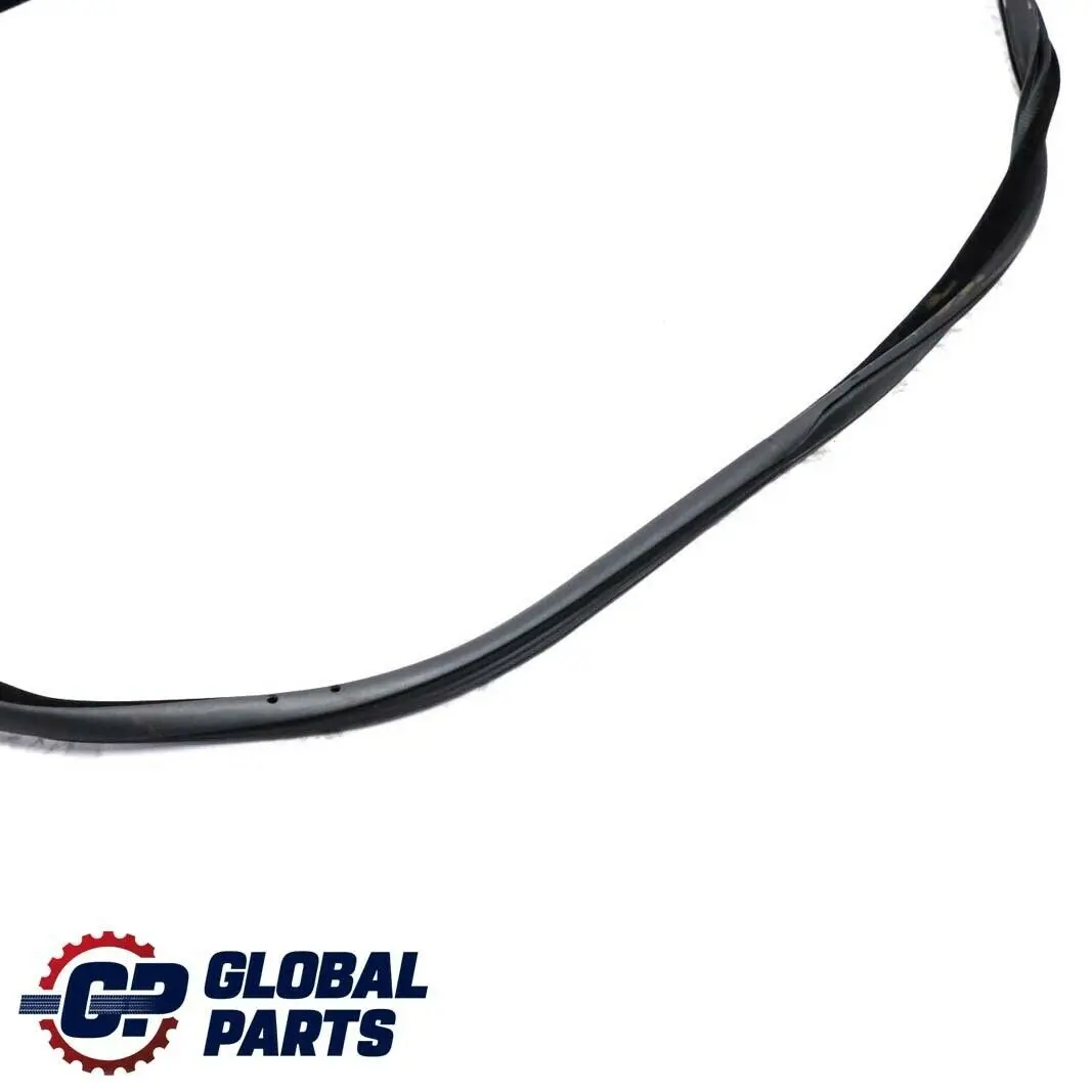 BMW 3 Series F32 F82 M4 Front Right Door O/S Outer Weatherstrip - SKU 7279742 - Part number 7279742