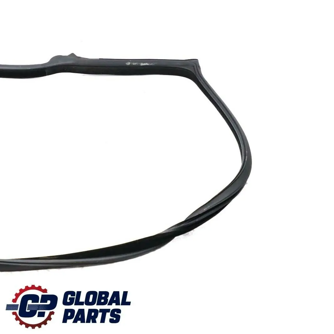 BMW 3 Series F32 F82 M4 Front Right Door O/S Outer Weatherstrip - SKU 7279742 - Part number 7279742