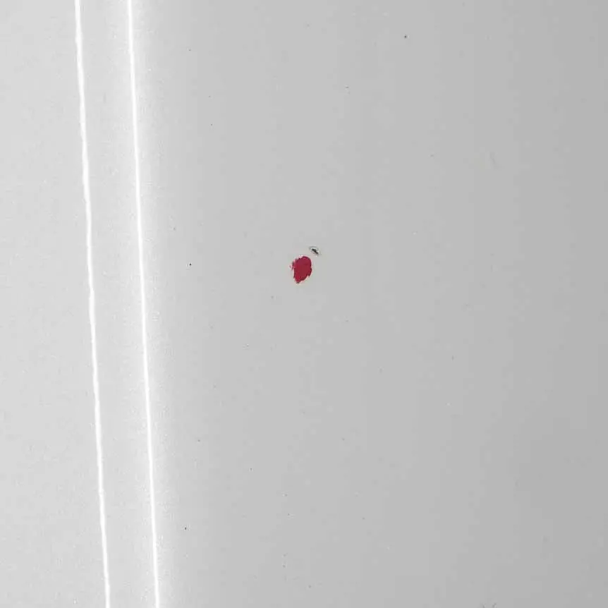 Puerta Trasera Izquierda Blanco Mineralweiss Metalizado - A96 para BMW F20 con número de pieza 7284515 BMW F20 Puerta Trasera Izquierda Blanco Mineralweiss Metalizado - A96 - SKU 7284515-MW2 - Número de pieza 7284515