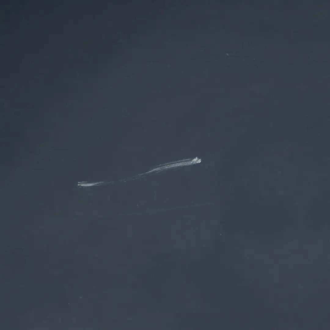 Porta Posteriore Destra Tiefseeblau Deep Sea Blue Metallic - A76 per BMW F20 con numero di parte 7284516 BMW F20 Porta Posteriore Destra Tiefseeblau Deep Sea Blue Metallic - A76 - SKU 7284516-DSB - Numero di parte 7284516