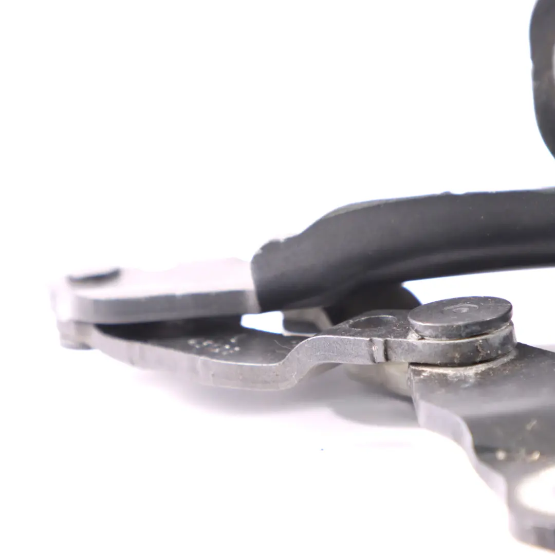 Cerniera Cofano BMW F20 F21 F22 F30 F32 F36 Sinistra Grigio Minerale B39 per con numero di parte 7286343 Cerniera Cofano BMW F20 F21 F22 F30 F32 F36 Sinistra Grigio Minerale B39 - SKU 7286343-MG - Numero di parte 7286343