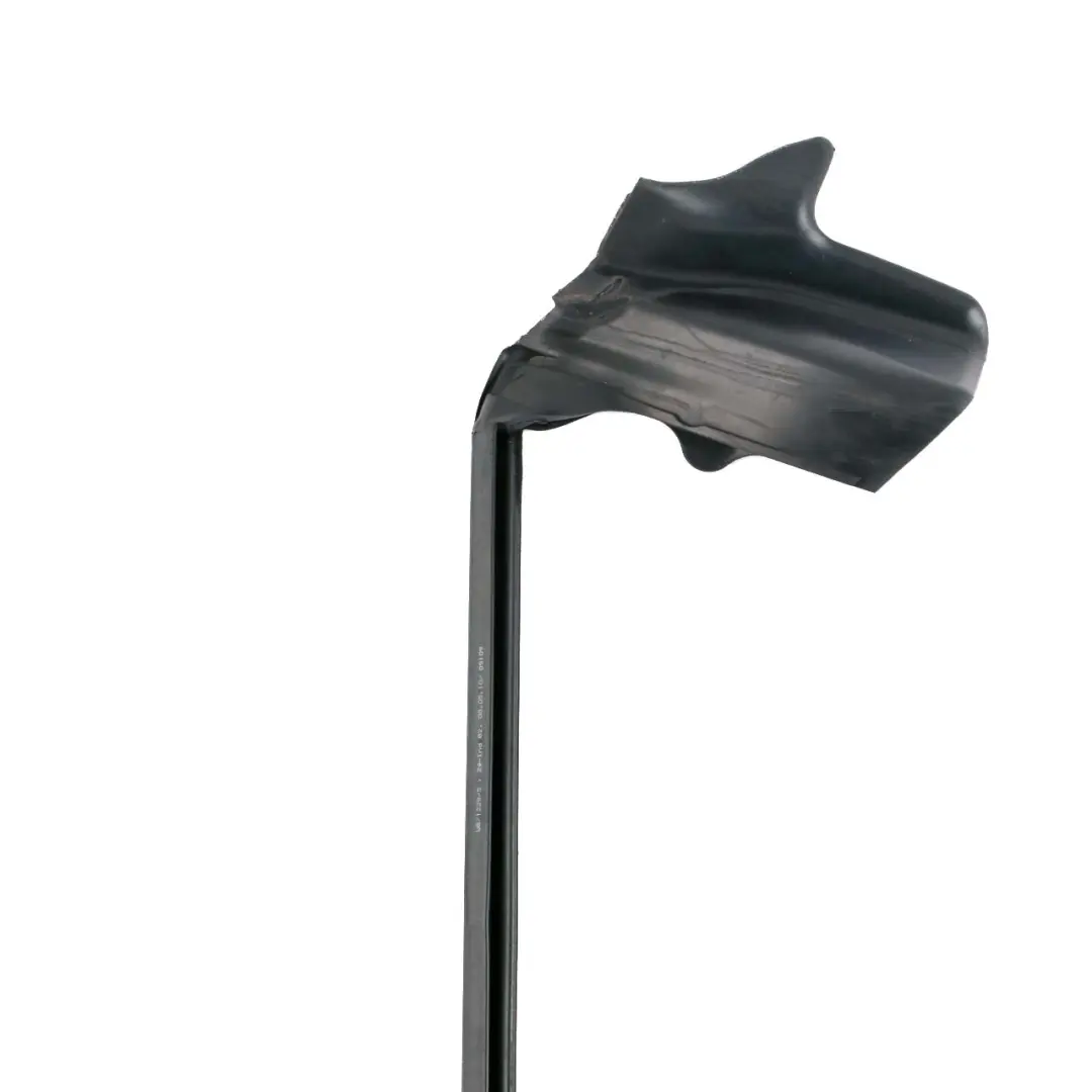 BMW F07 Gt Schachtabdichtung Esterno Porta Posteriore Sinistra 7196395 - SKU 7289261 - Numero di parte 7289261