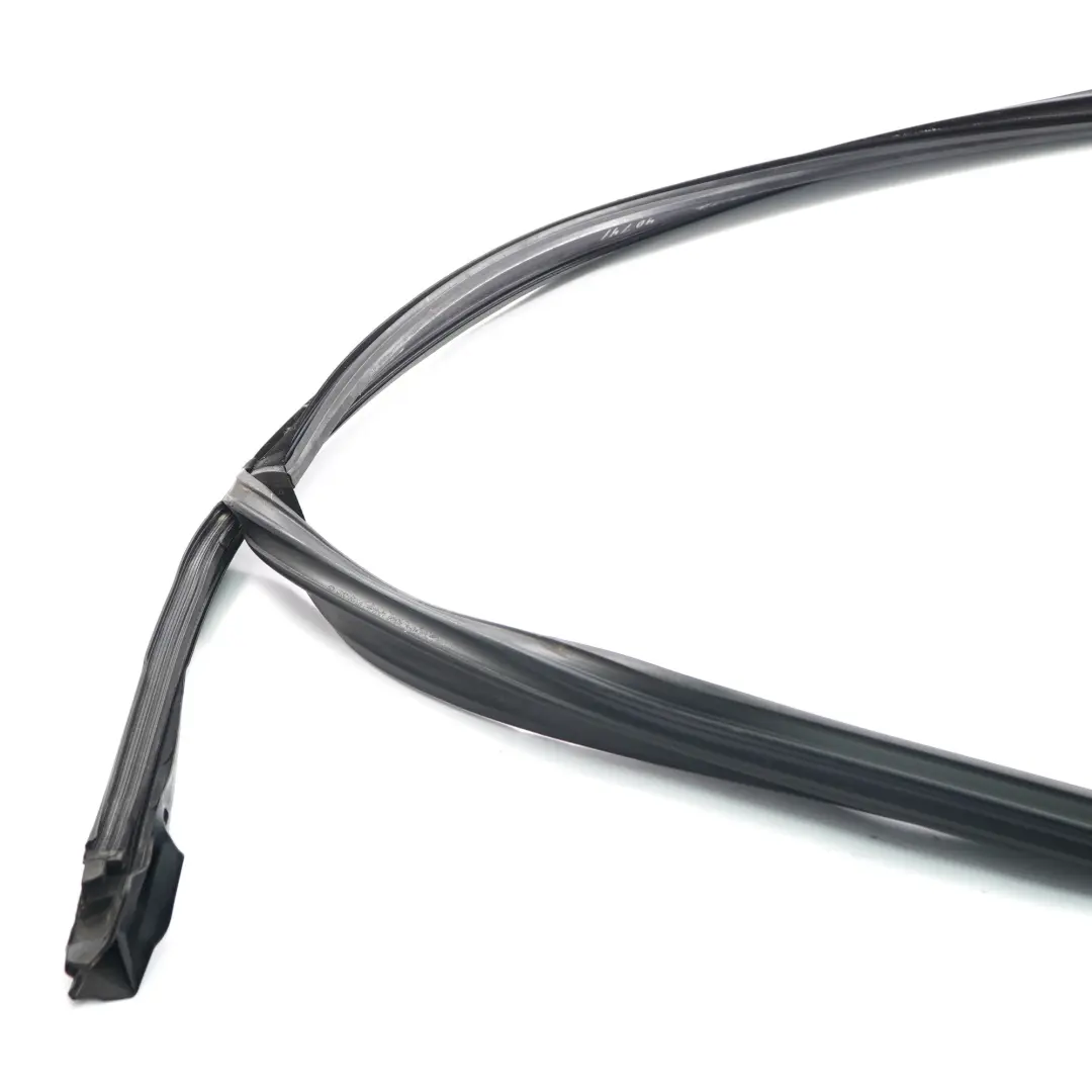 BMW X5 F15 Fensterdichtung Führung Dichtung vorne links - SKU  7289617 - Teilenummer  7289617
