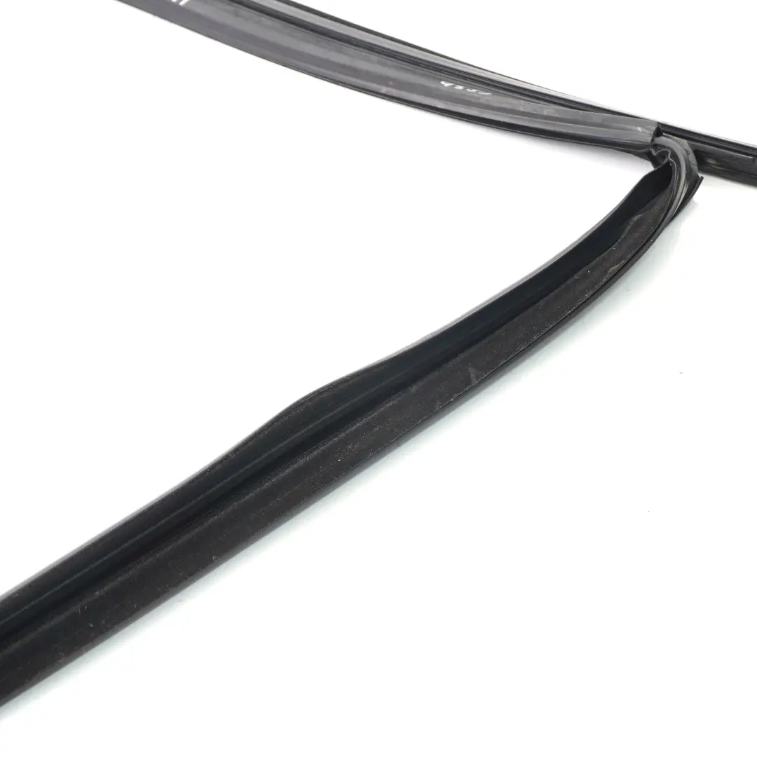 BMW X5 F15 Fensterdichtung Führung Dichtung vorne links - SKU  7289617 - Teilenummer  7289617