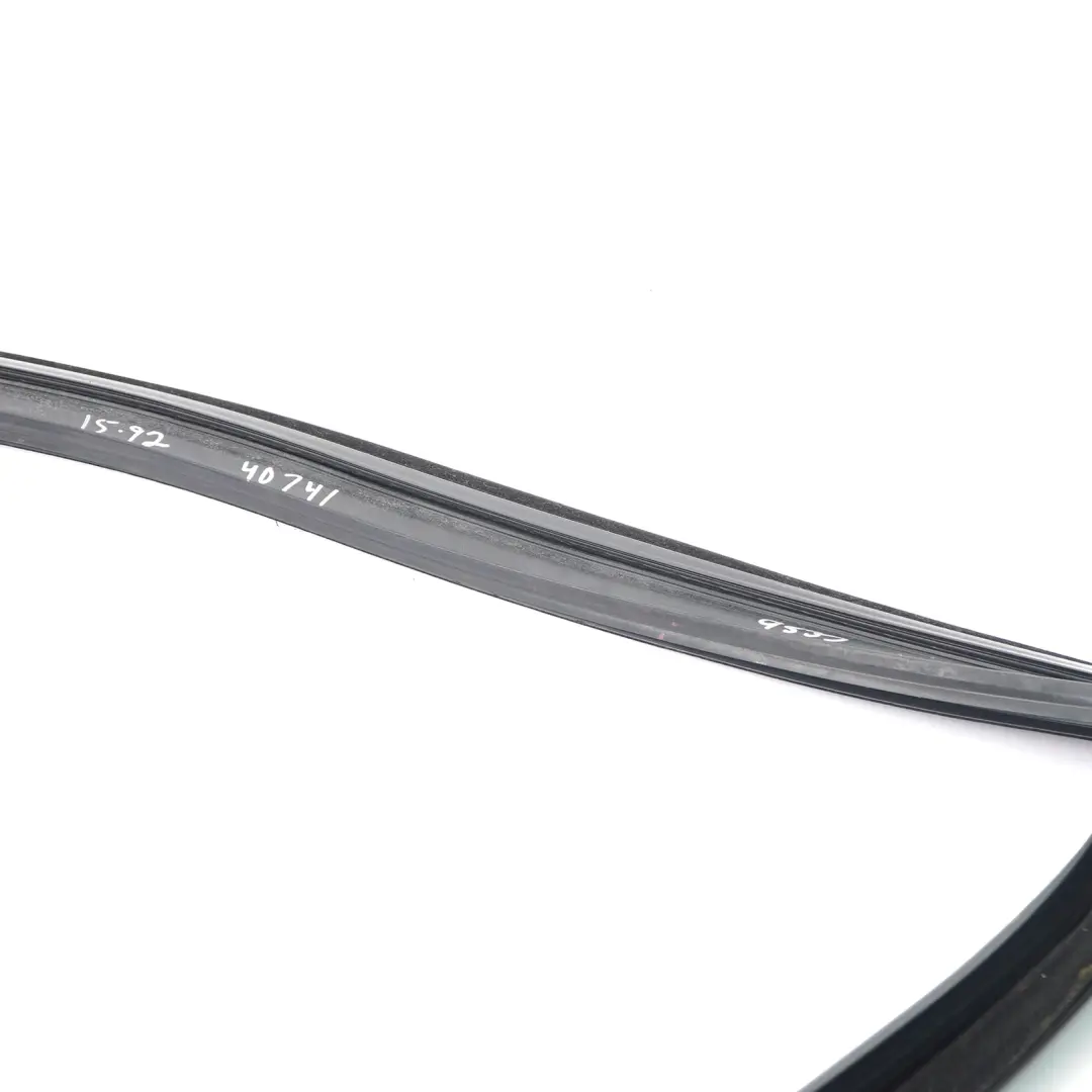 BMW X5 F15 Fensterdichtung Führung Dichtung vorne links - SKU  7289617 - Teilenummer  7289617
