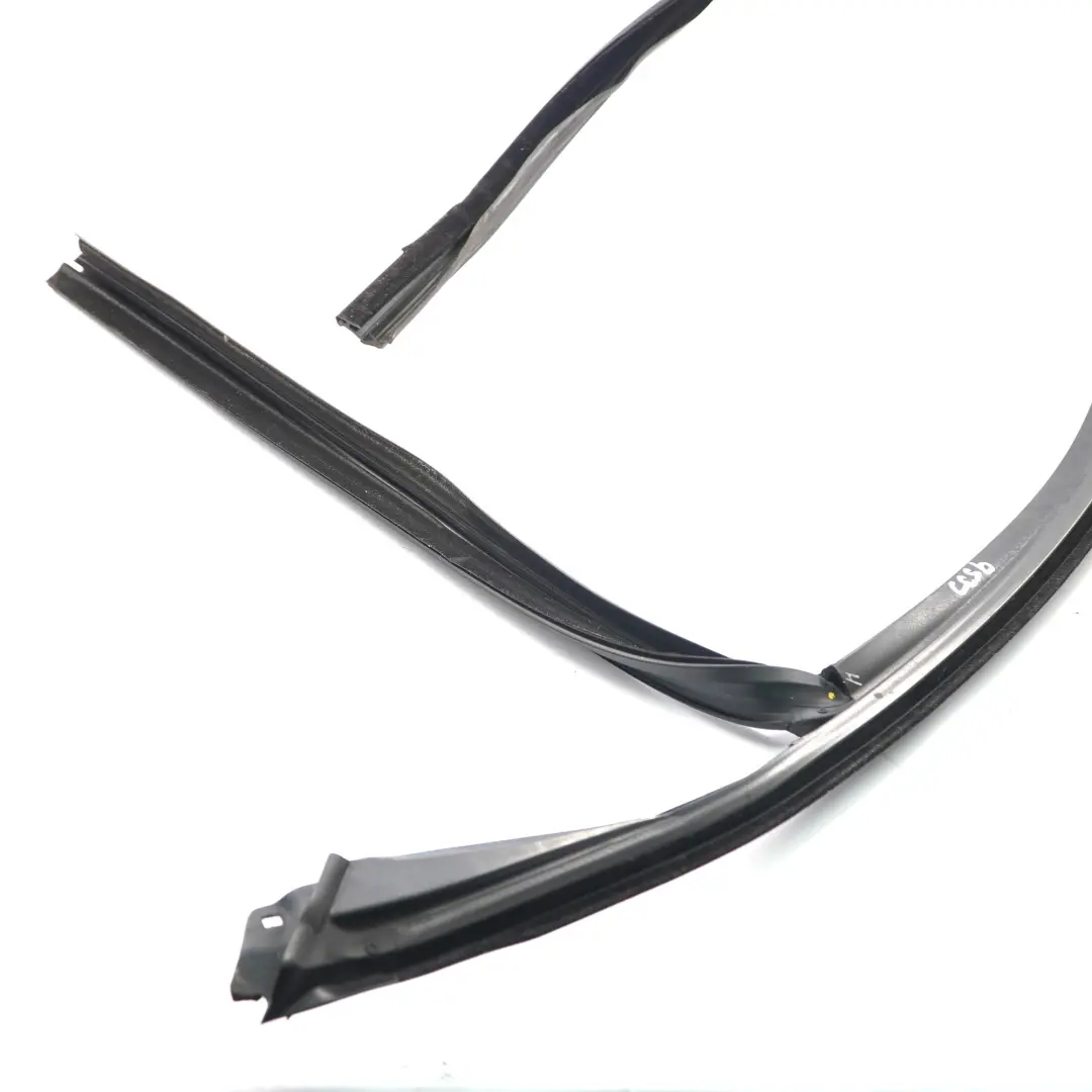 BMW X5 F15 Guarnizione Guida Finestra Anteriore Sinistra - SKU  7289617 - Numero di parte  7289617