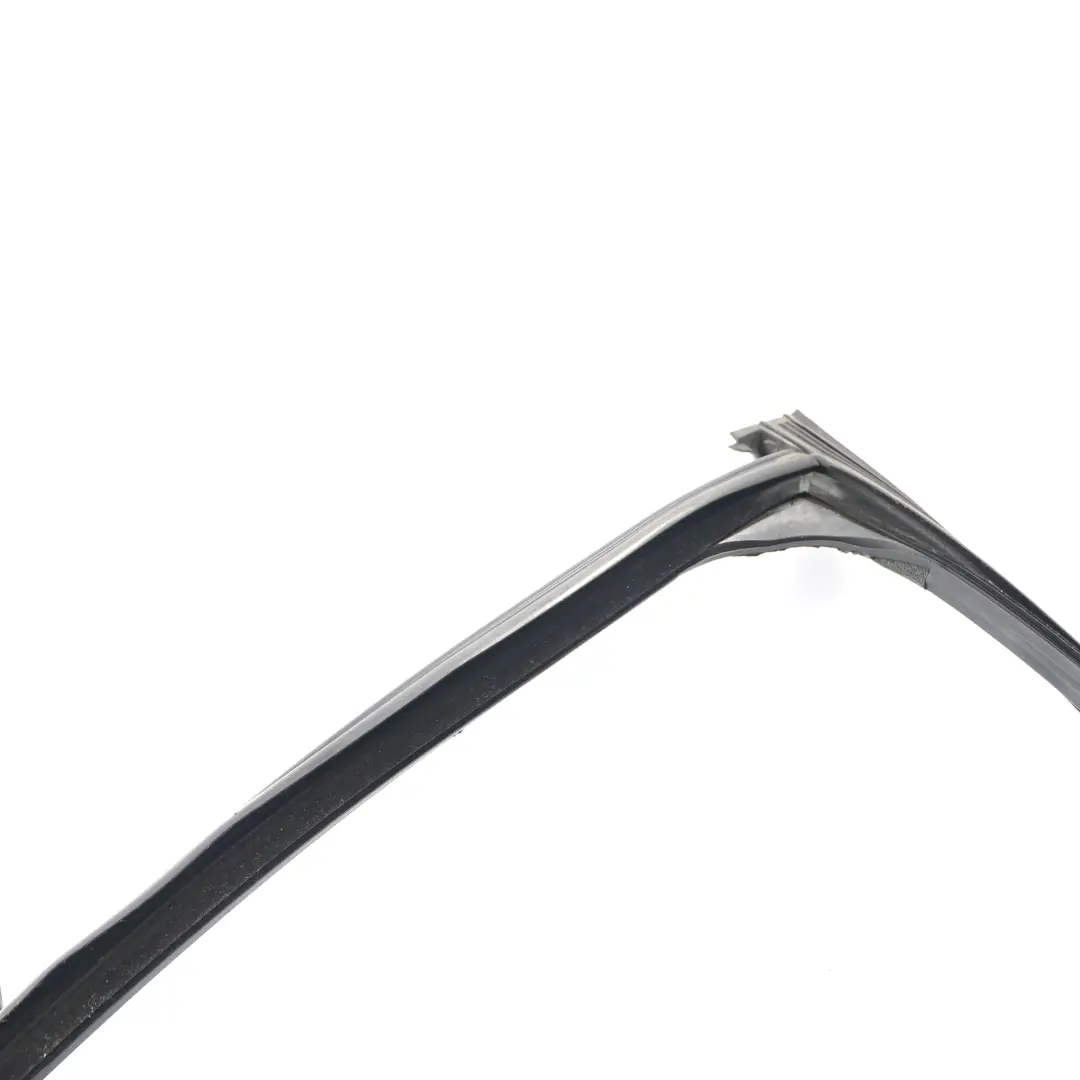 BMW X5 F15 Guarnizione Guida Finestra Guarnizione Anteriore Destra - SKU 7289618 - Numero di parte 7289618