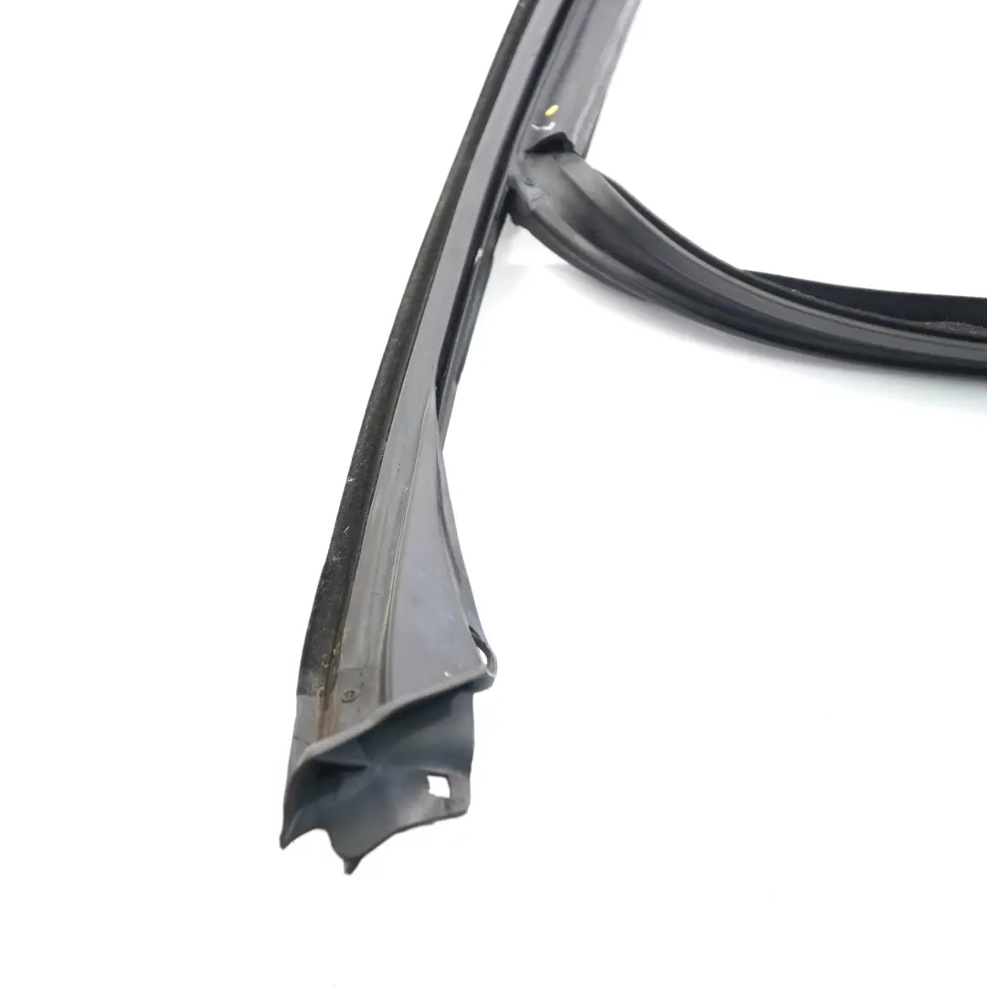 BMW X5 F15 Window Seal Guide Gasket Front Right O/S Sealing - SKU 7289618 - Part number 7289618