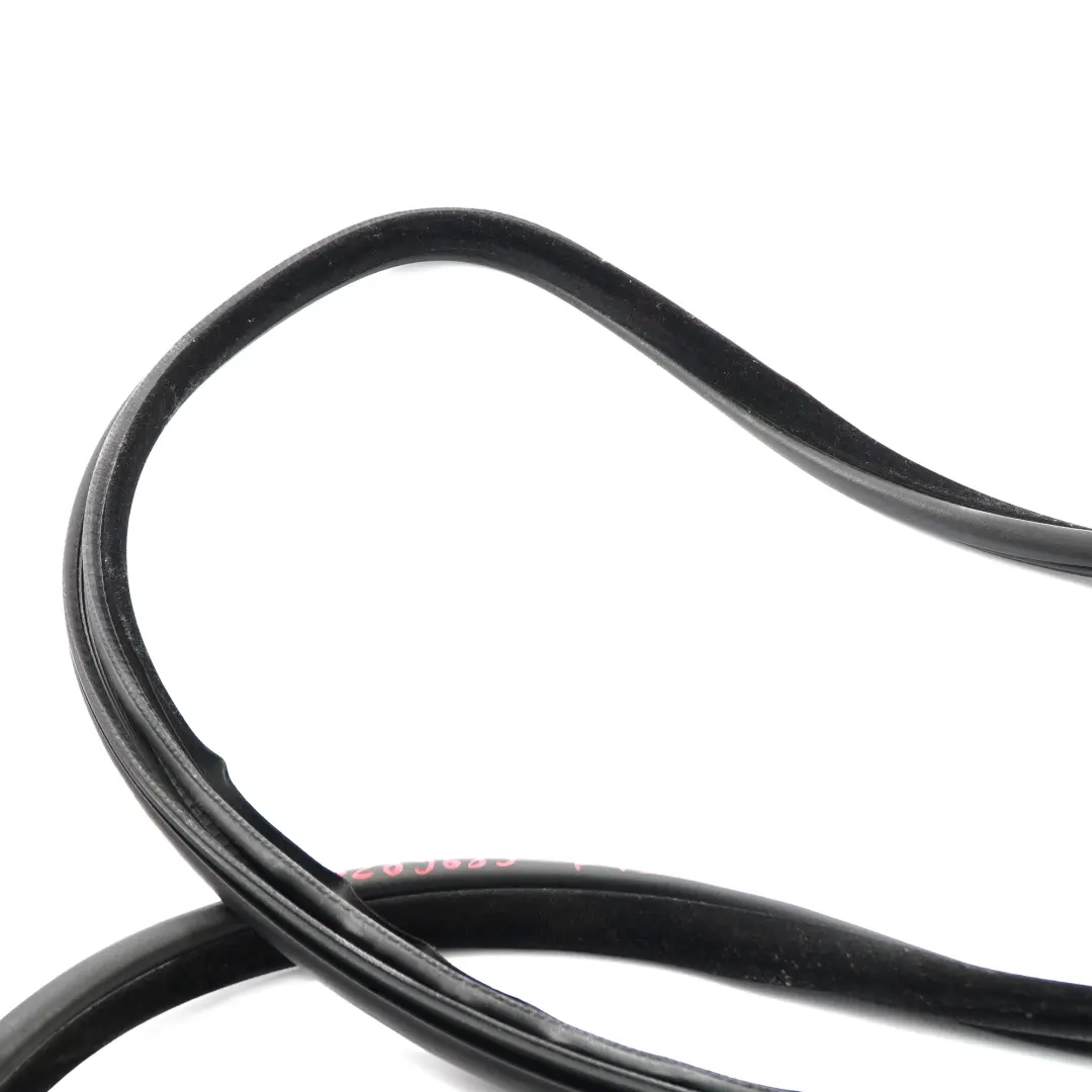 Guarnizione Porta Protezione Bordo Posteriore Sinistra Destra per BMW X5 F15 con numero di parte 7289689 BMW X5 F15 Guarnizione Porta Protezione Bordo Posteriore Sinistra Destra - SKU 7289689 - Numero di parte 7289689