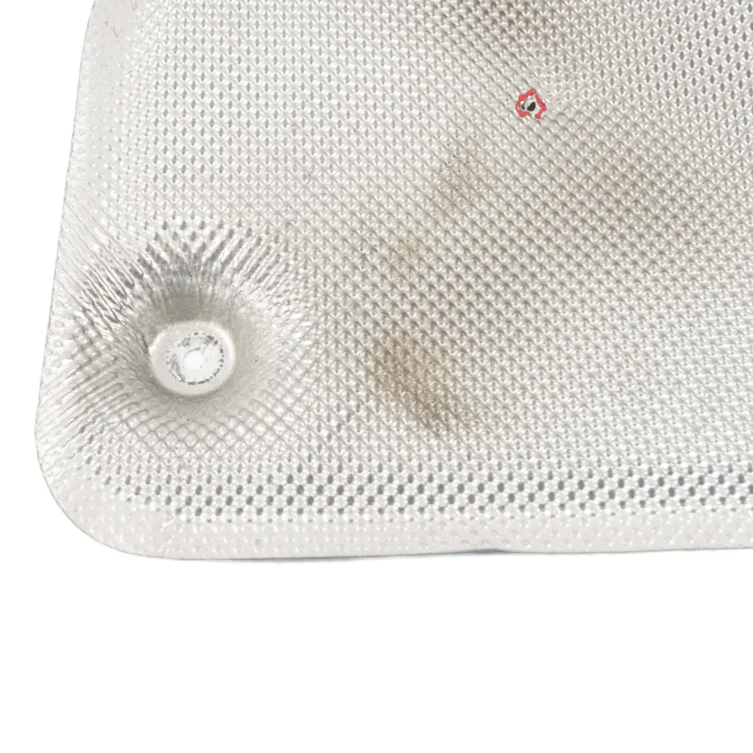 Proteccion T?rmica Capo Motor para BMW F20 F21 F30 F31 LCI con número de pieza 7289875 BMW F20 F21 F30 F31 LCI Proteccion T?rmica Capo Motor - SKU 7289875 - Número de pieza 7289875