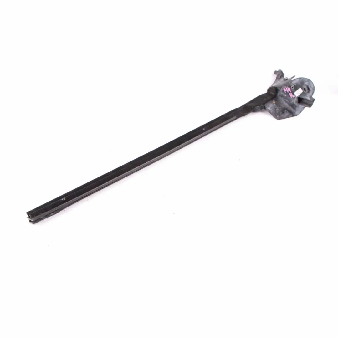 BMW F34 GT Canale tenuta porta anteriore sinistra Striscia rivestimento - SKU 7289939 - Numero di parte 7289939