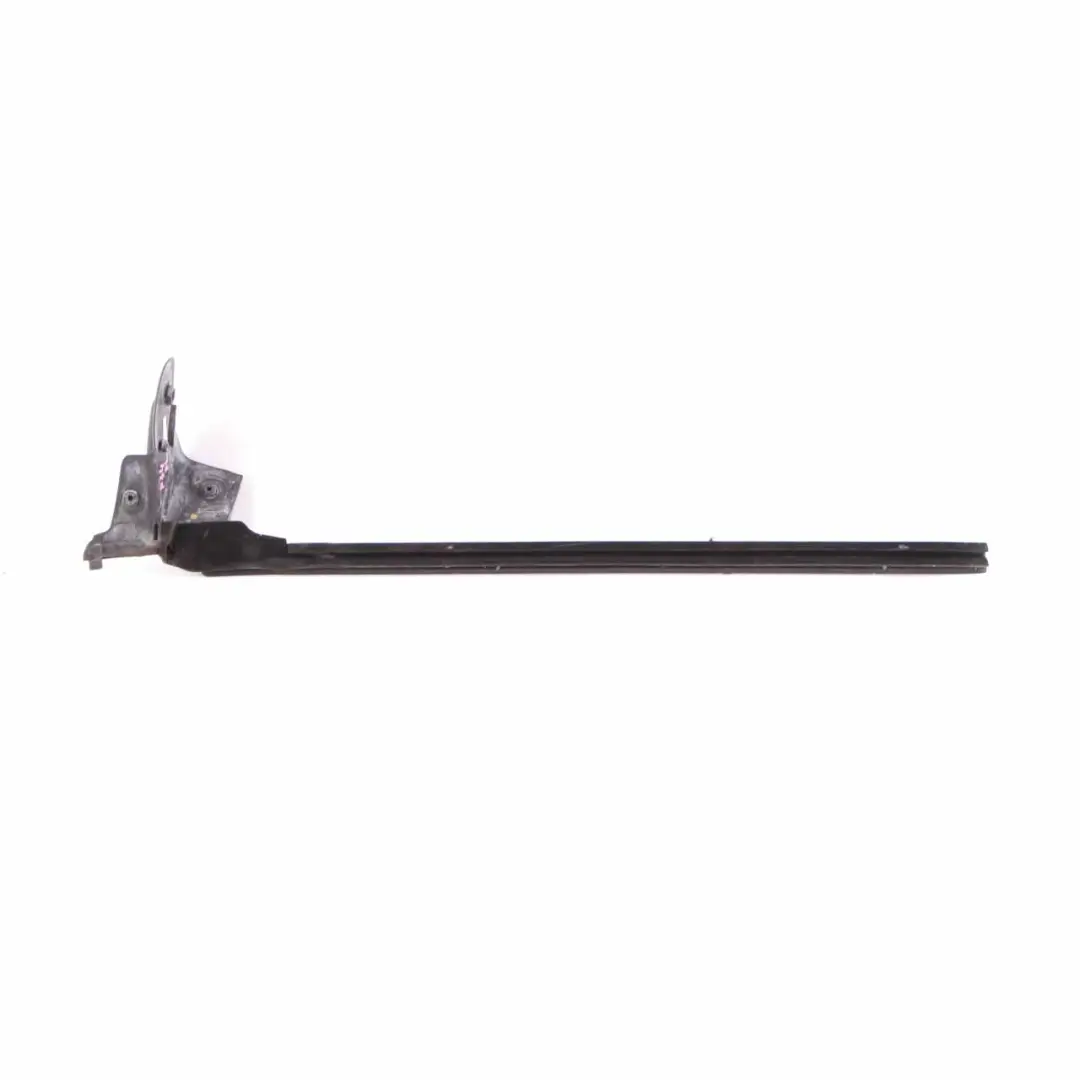 BMW F34 GT Canale tenuta porta anteriore sinistra Striscia rivestimento - SKU 7289939 - Numero di parte 7289939
