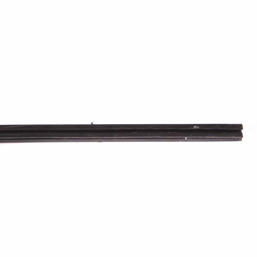 BMW F34 GT Canale tenuta porta anteriore sinistra Striscia rivestimento - SKU 7289939 - Numero di parte 7289939