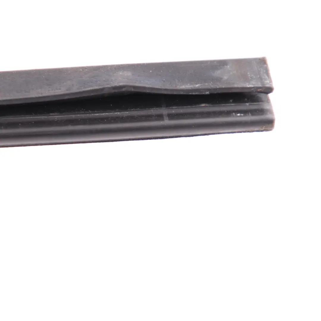 BMW F34 GT Canale tenuta porta anteriore sinistra Striscia rivestimento - SKU 7289939 - Numero di parte 7289939