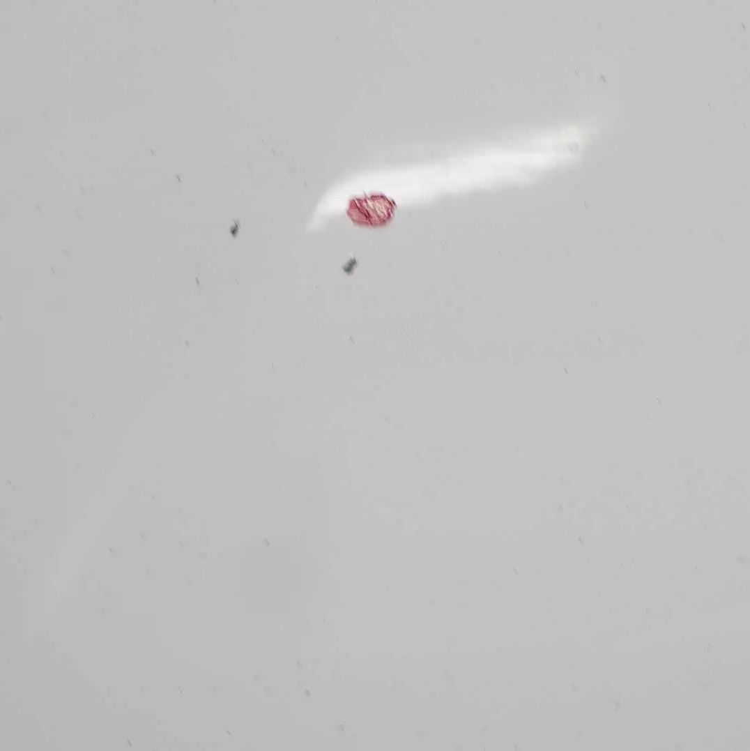 Hood Bonnet Cover Panel Alpinweiss Alpine White 3 - 300 to BMW F20 F21 F22 with Part number 7290942 BMW F20 F21 F22 Hood Bonnet Cover Panel Alpinweiss Alpine White 3 - 300 - SKU 7290942-AW1 - Part number 7290942