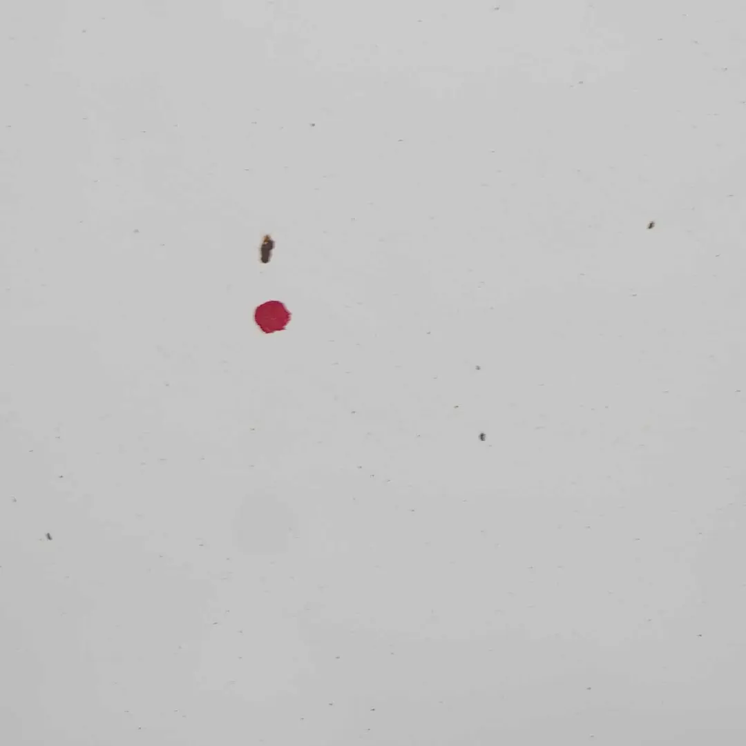 Maska Pokrywa Silnika Alpinweiss do BMW F20 F21 F22 o numerze 7290942 BMW F20 F21 F22 Maska Pokrywa Silnika Alpinweiss - SKU 7290942-AW1 - Numer Części 7290942