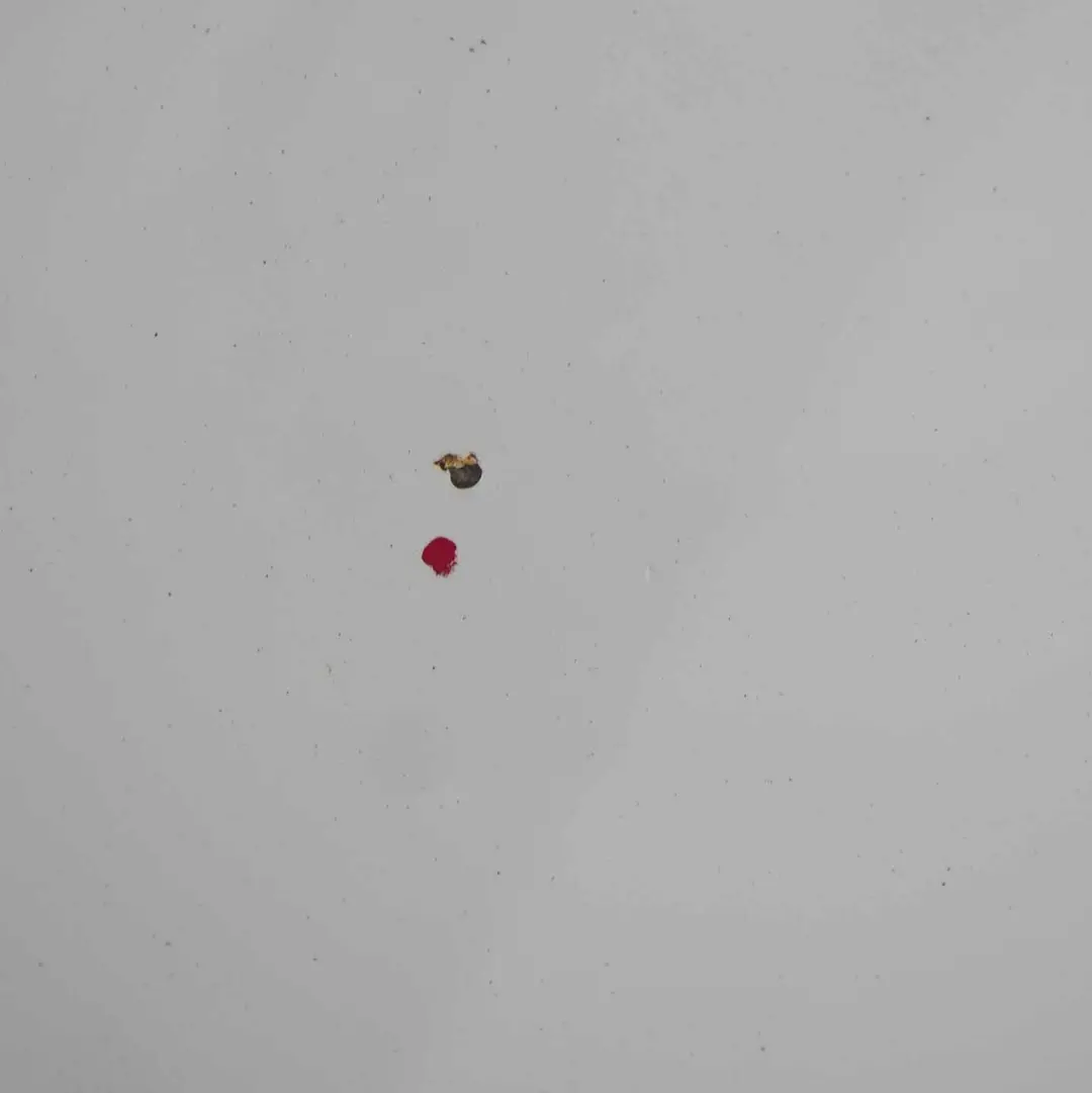 Maska Pokrywa Silnika Alpinweiss do BMW F20 F21 F22 o numerze 7290942 BMW F20 F21 F22 Maska Pokrywa Silnika Alpinweiss - SKU 7290942-AW1 - Numer Części 7290942