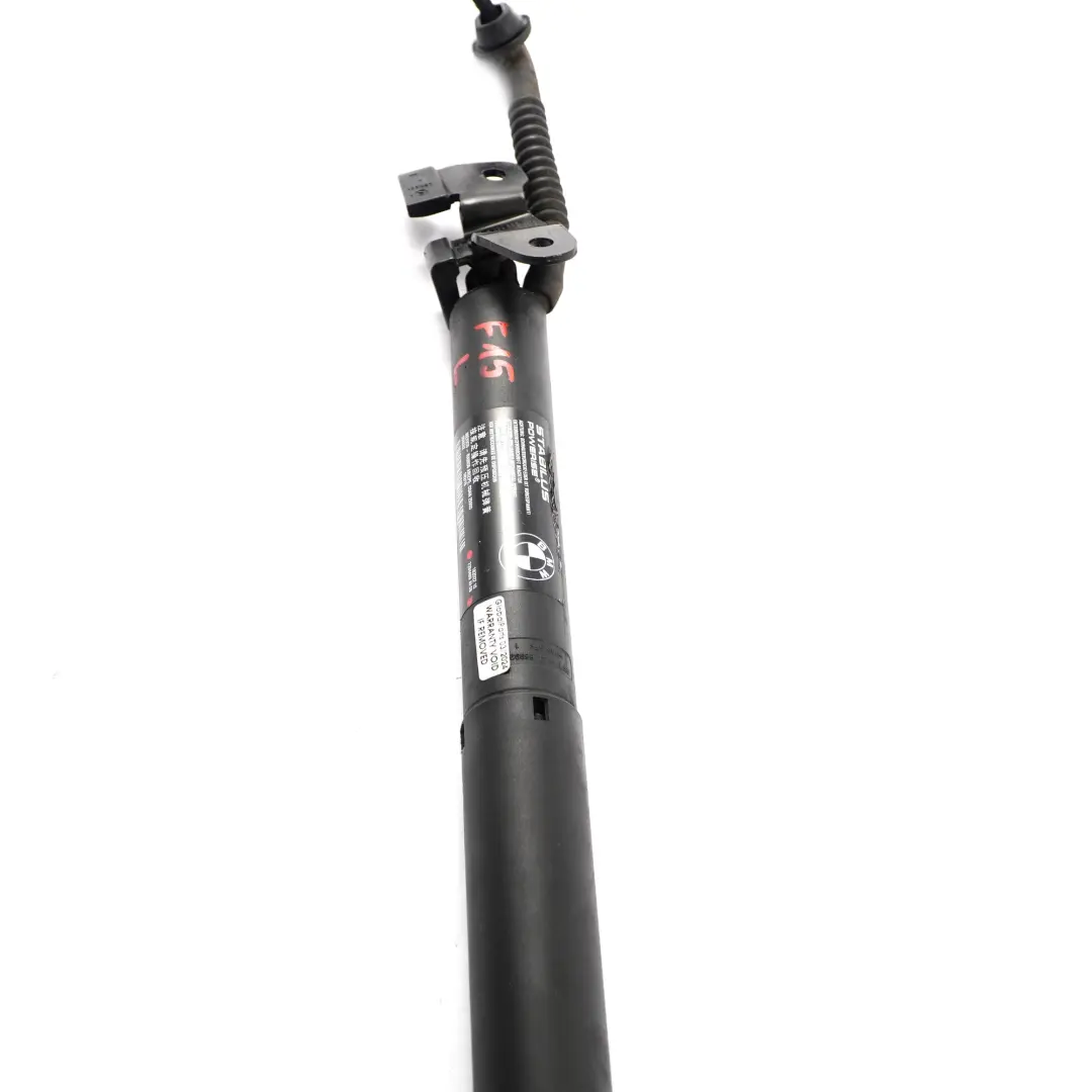 Trunk Boot Lid Strut Electric Spindle Drive Left N/S to BMW X5 F15 with Part number 7294469 BMW X5 F15 Trunk Boot Lid Strut Electric Spindle Drive Left N/S - SKU 7294469 - Part number 7294469