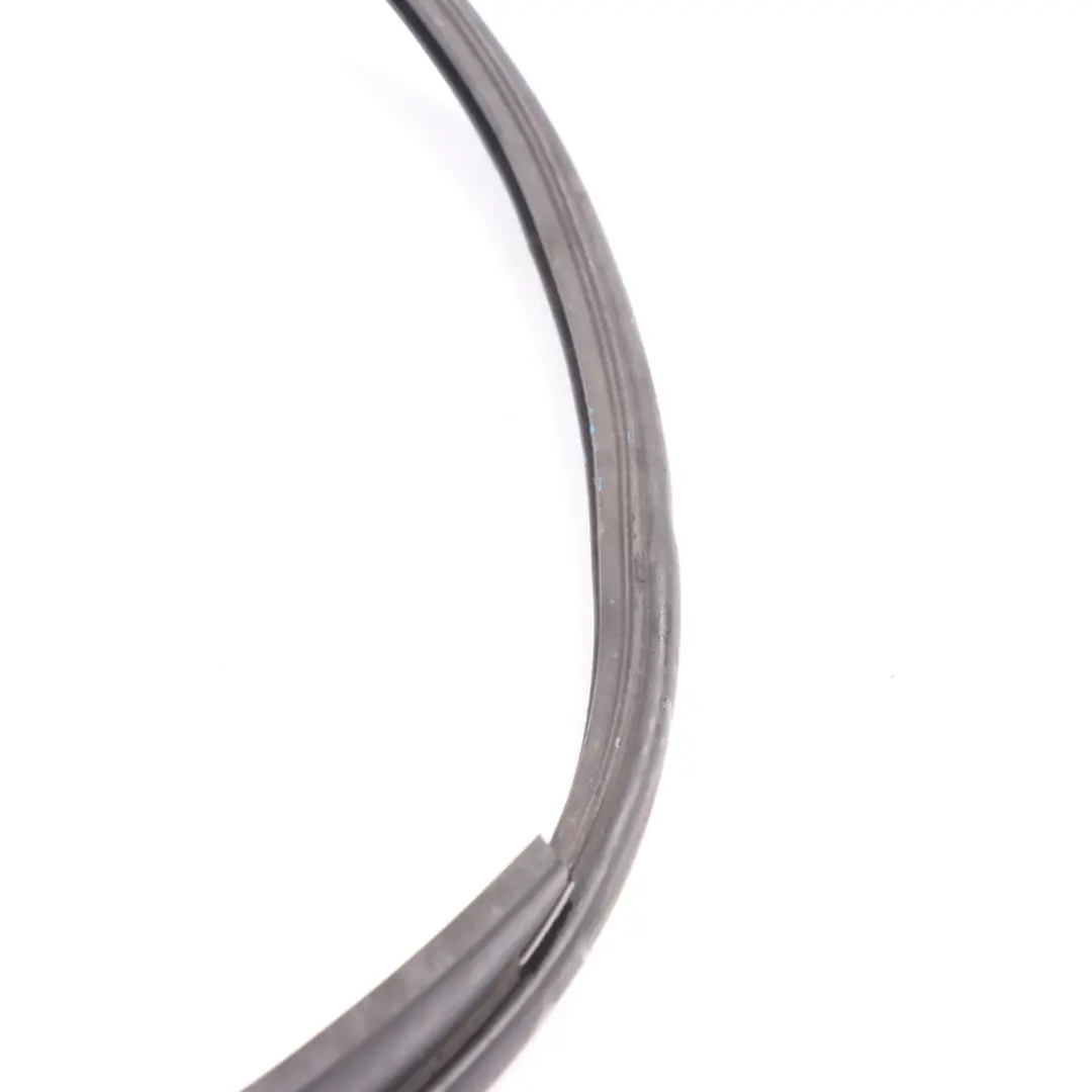 BMW X5 F15 X6 F16 Motore Cappuccio Cofano Anteriore Guarnizione tenuta - SKU 7294509 - Numero di parte 7294509
