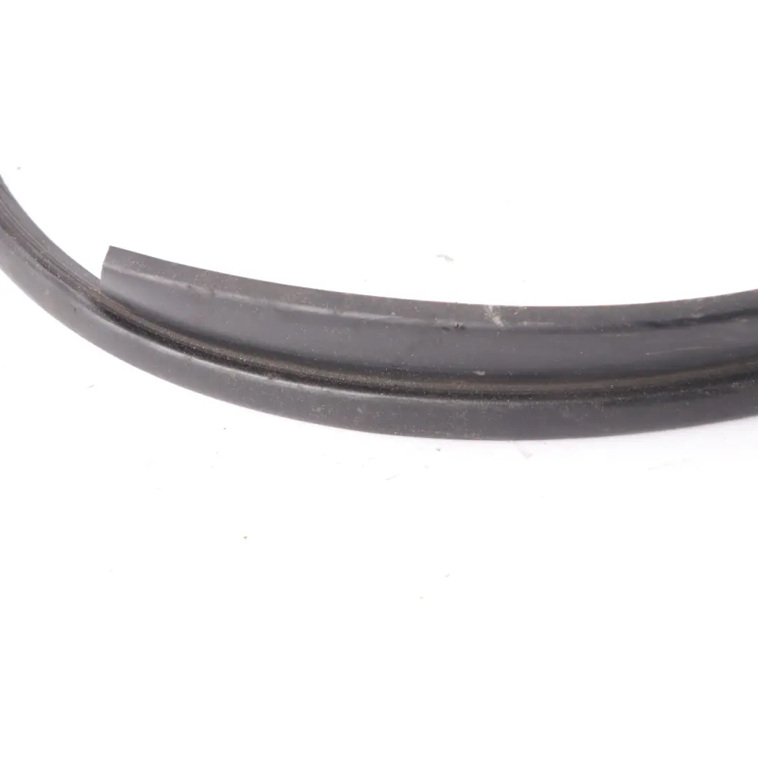 BMW X5 F15 X6 F16 Motore Cappuccio Cofano Anteriore Guarnizione tenuta - SKU 7294509 - Numero di parte 7294509