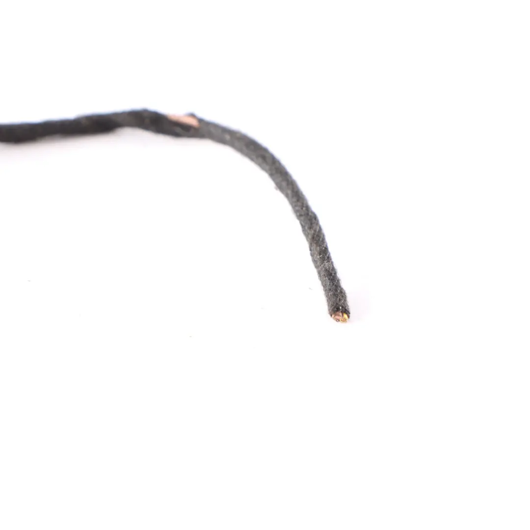 BMW X6 E71 Rear Right Lamp Tail Light Cable Wiring Harness - SKU 7295006-1 - Part number 7295006