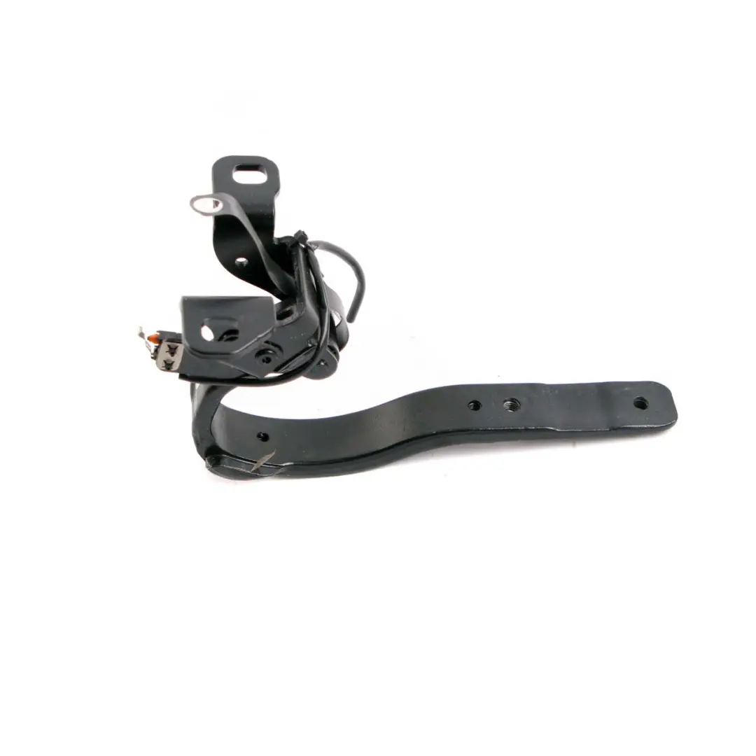 Trunk Lid Hinge Boot Rear Left N/S Black to BMW i3 I01 with Part number 7296773 BMW i3 I01 Trunk Lid Hinge Boot Rear Left N/S Black - SKU 7296773 - Part number 7296773